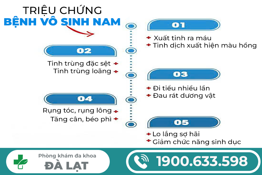 Hình ảnh minh họa